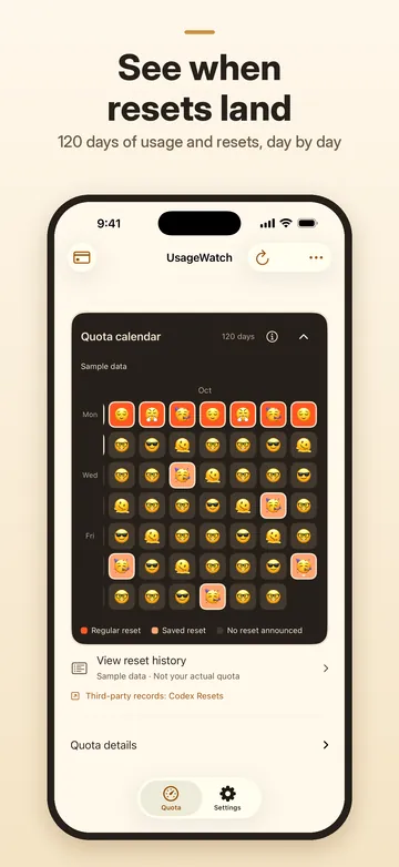120-day quota calendar showing usage and resets by day (sample data)